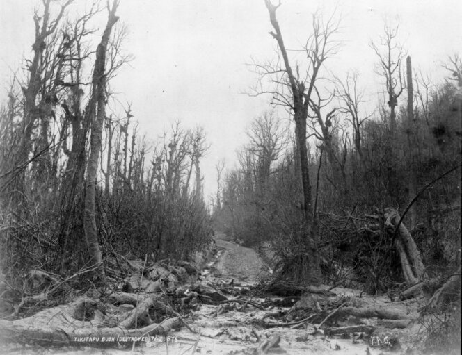 A track in the Tikitapu Bush after the area was damaged by the Mount Tarawera eruption of 1886. Photograph taken by Frank Arnold Coxhead.