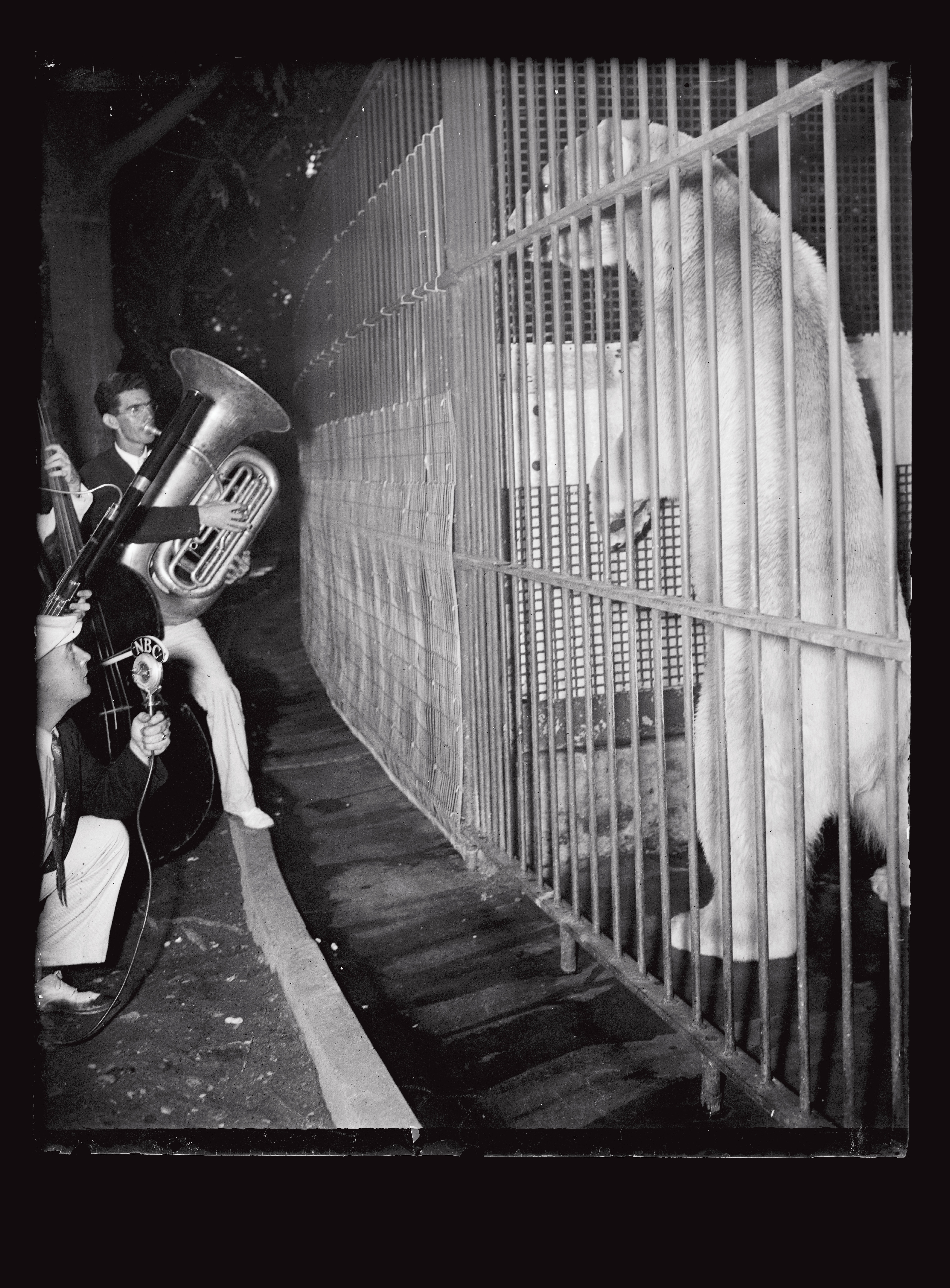Symphonists of the Water Gate Orchestra performing music for the animals at the National Zoölogical Park, Washington, DC, USA, 1936. Washington, DC: LOC, Prints and Photographs Division. Photo: Harris & Ewing.