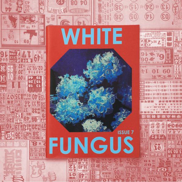 Issue #7