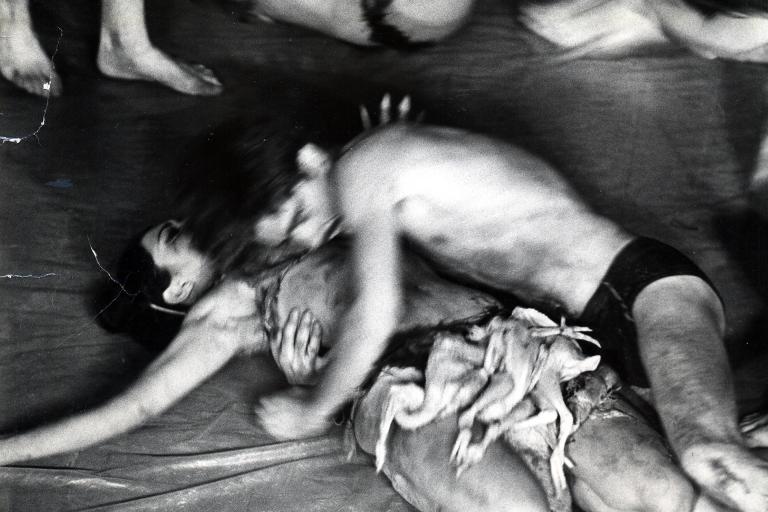 Carolee Schneemann "Meat Joy"