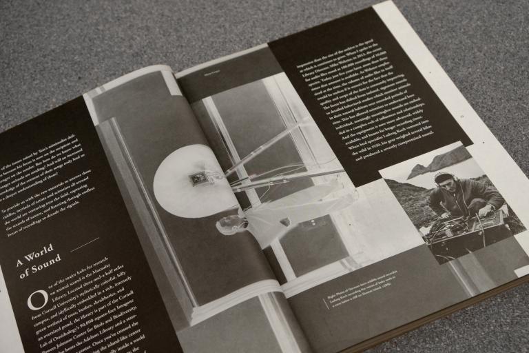 White Fungus Issue #16 The Pleasure Principle