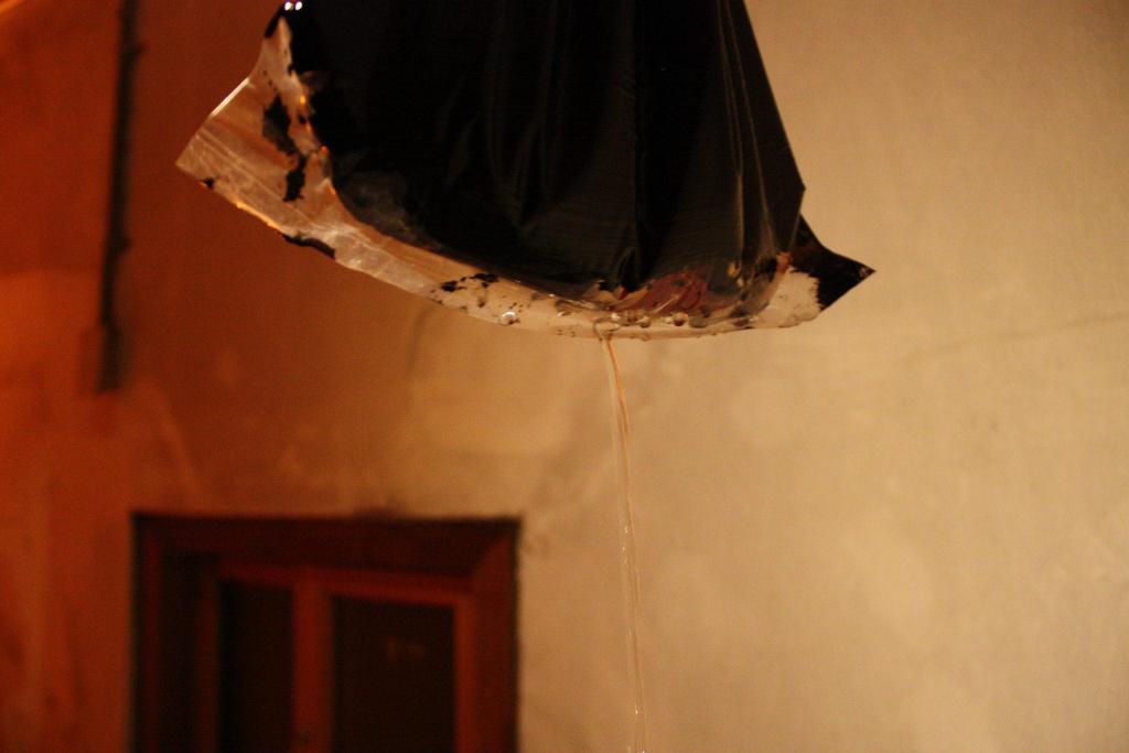 Performance by Sun Yi-Jou involving a punctured bag containing live fish (which survived).