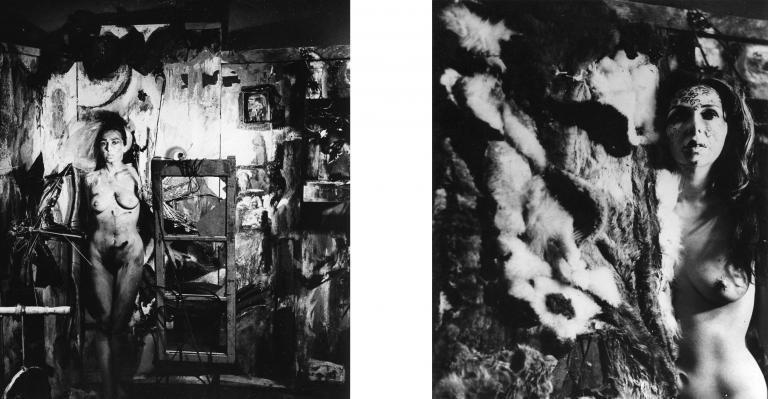 Carolee Schneemann, “Eye Body: 36 Transformative Actions for Camera”