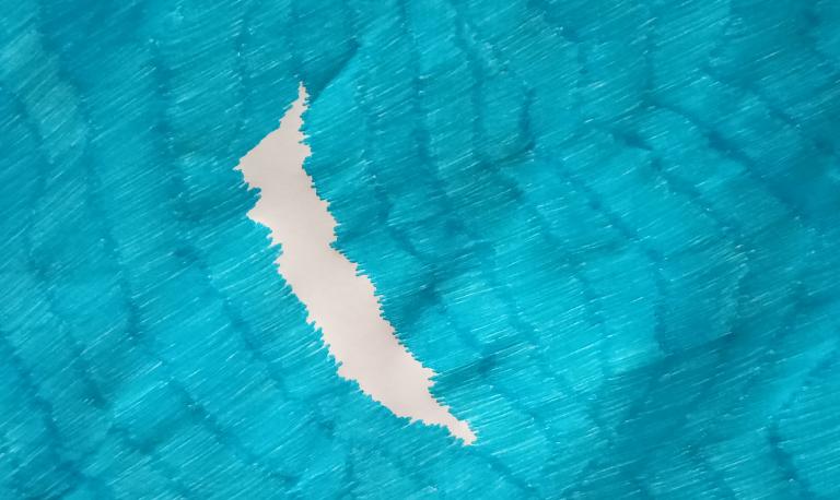 Ryts Monet, Pangea (in reference to Alighiero Boetti), detail, colored ballpoint pen on paper, 135 × 102 cm, 2025.