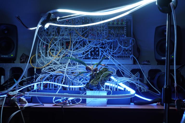 A modular synthesizer in Nick Tsai’s studio, Taichung, 2025. 